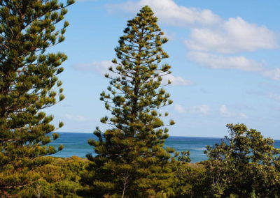 Ocean View